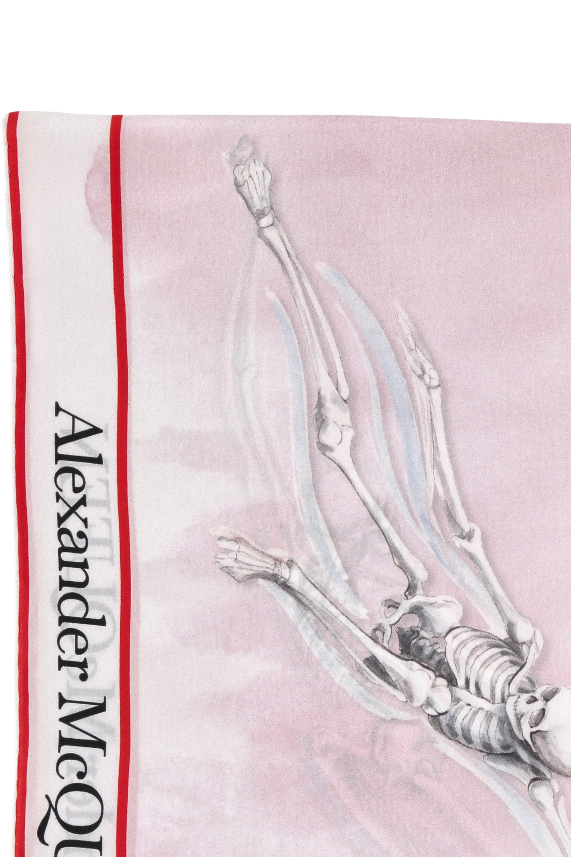 Alexander McQueen Flying Skeleton Selvedge Foulard Scarf