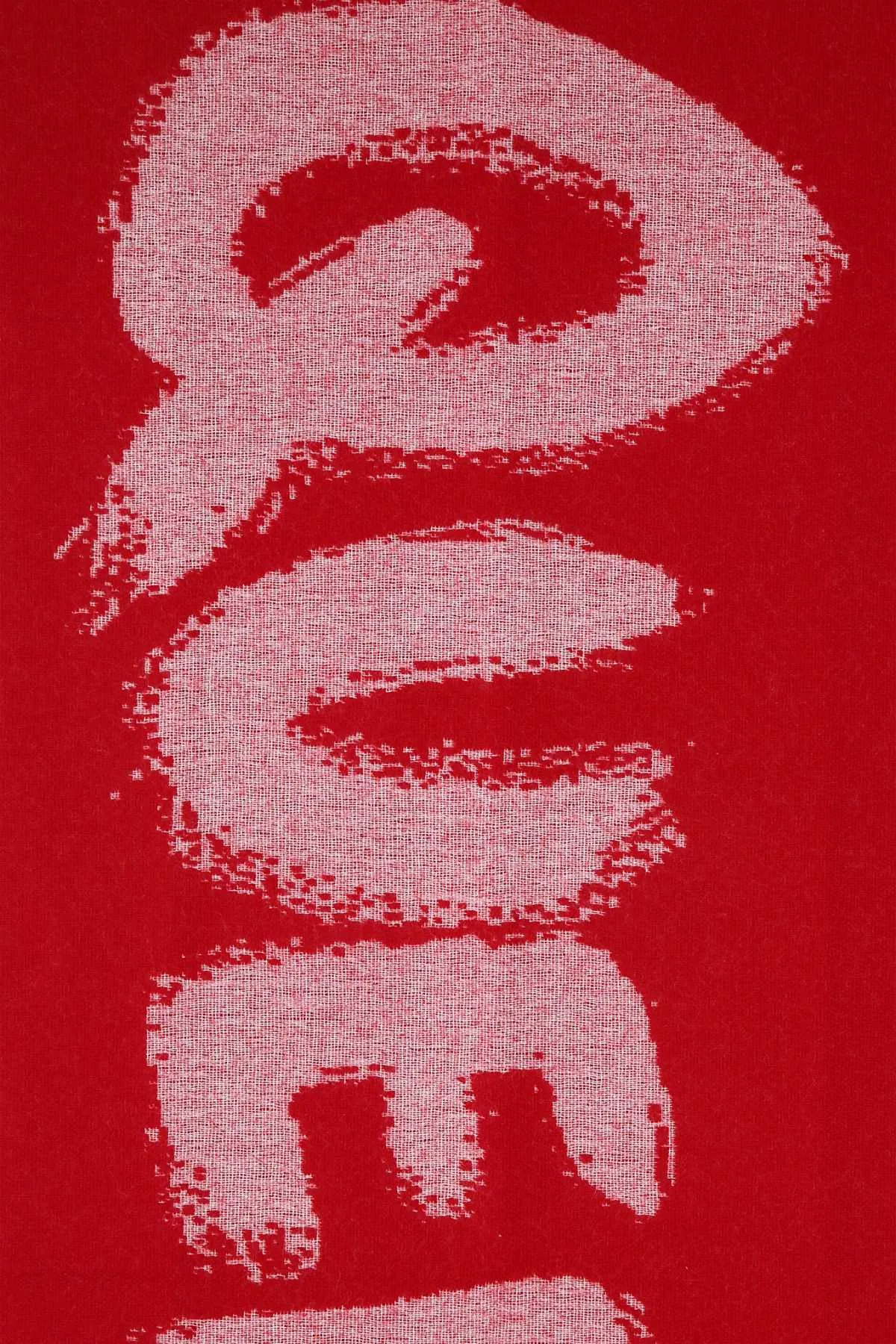 Alexander McQueen Graffiti Logo Fringed Scarf