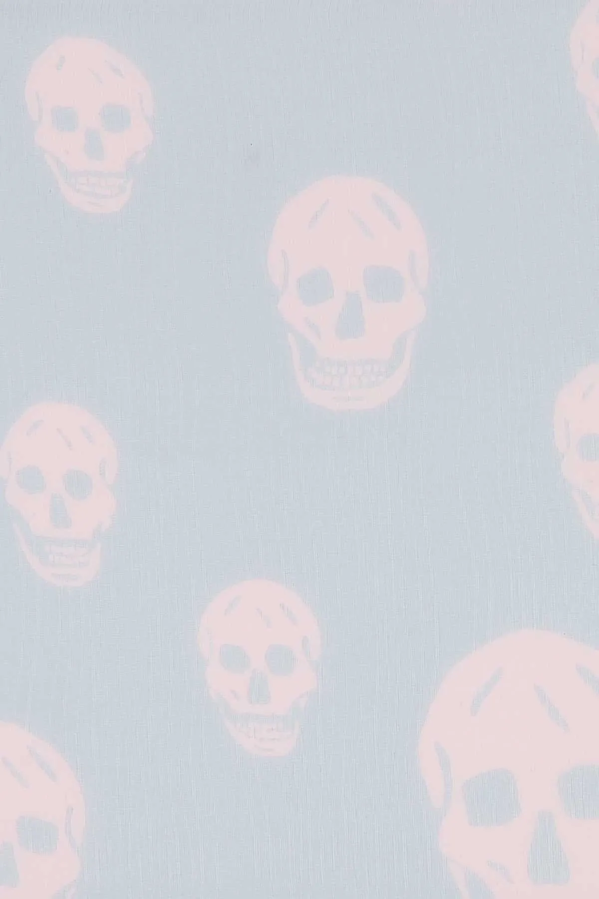 Alexander McQueen Skull Printed Scarf