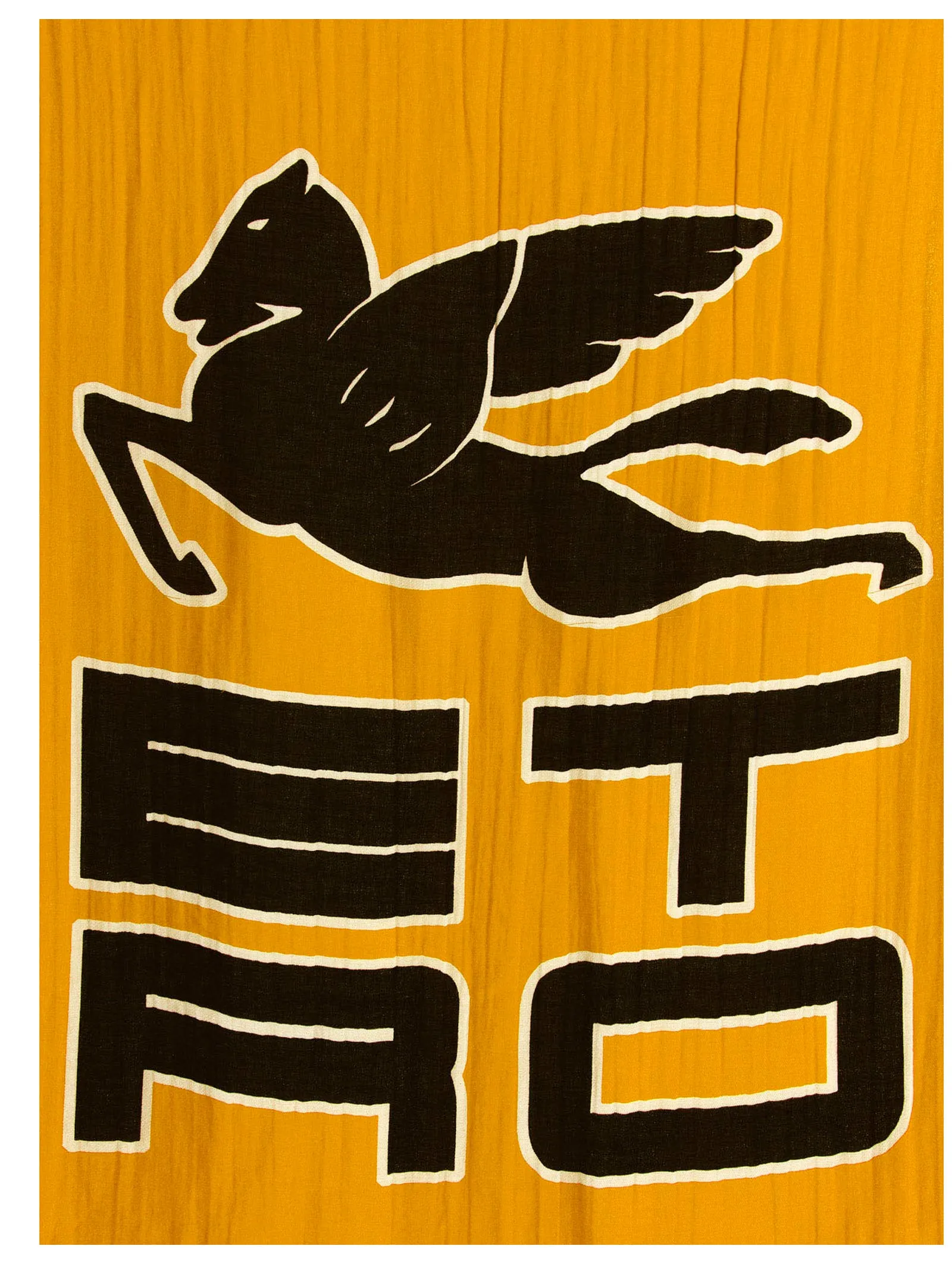 Etro Logo Print Frayed Edge Scarf