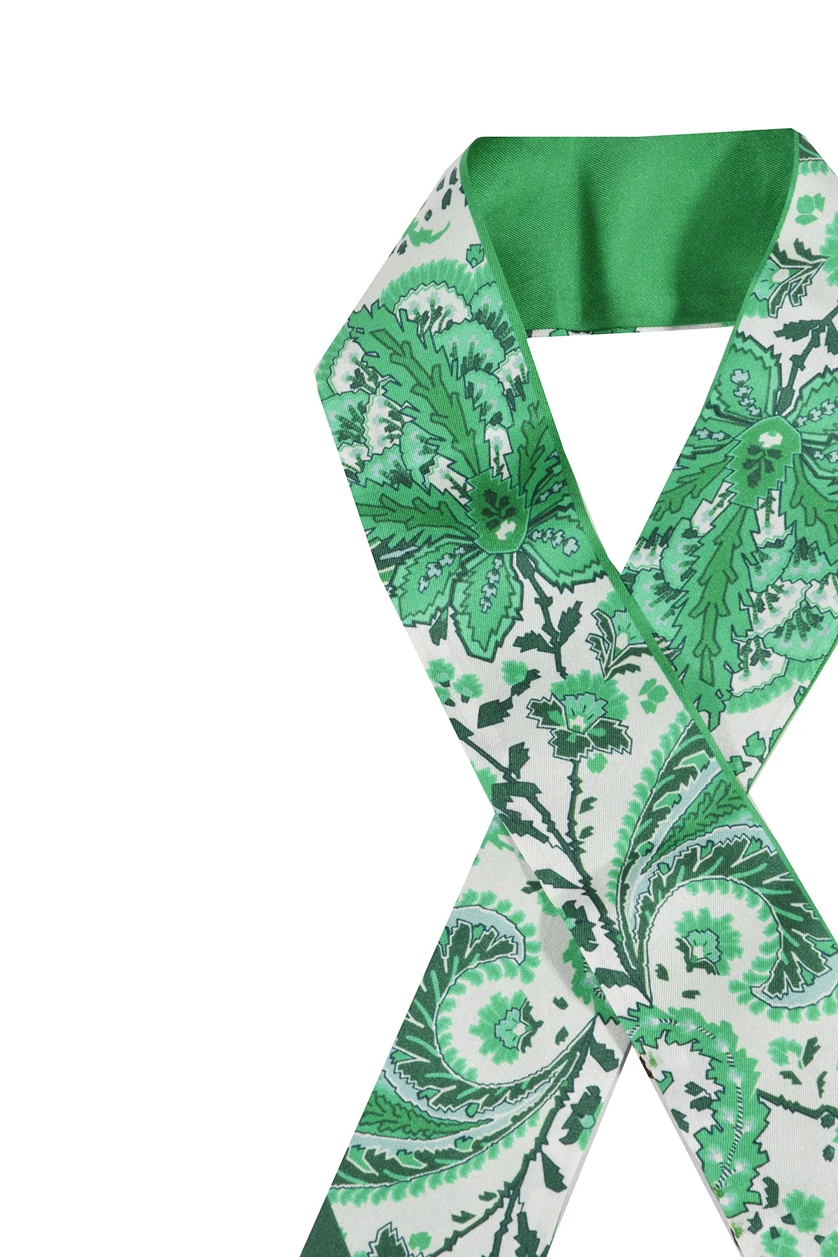 Etro Paisley Printed Pointed-Tip Scarf