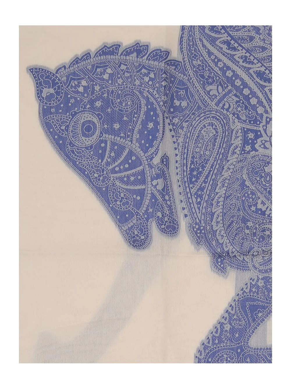 Etro Paisley Printed Scarf