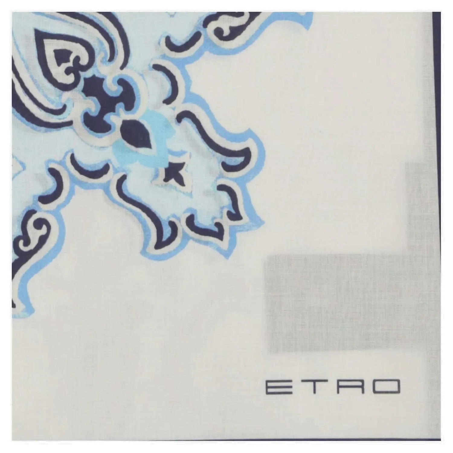 Etro Paisley Printed Scarf