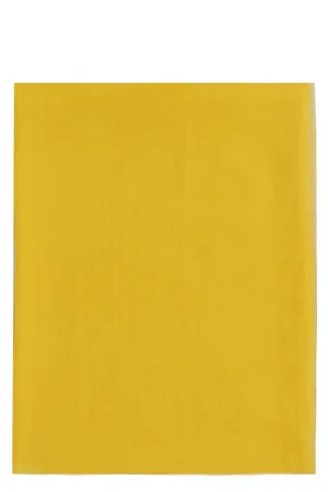 Max Mara Rivera Scarf